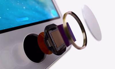 Apple's Touch ID and You