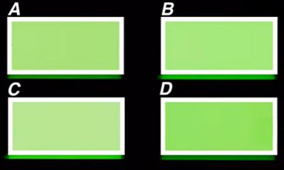 Comparison of LCD screens of different mobile phones