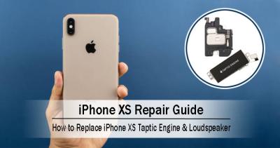 How to Replace the iPhone XS Taptic Engine & Loudspeaker?