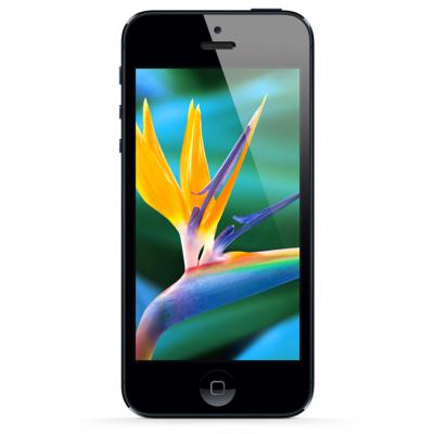 iPhone 5 Overall Features 