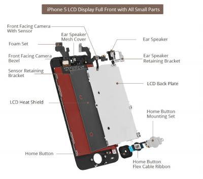 iPhone 5 LCD Screen Assembly Small Parts List