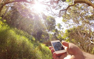 Why you can’t see the iPhone screen with polarized sunglasses?