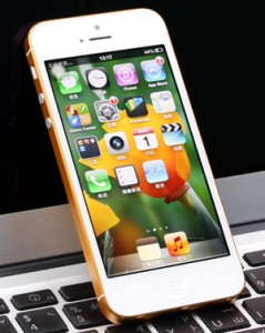 Gold iPhone 5 rear housing