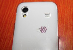 flower diamond case