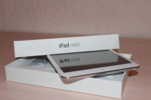 How to Solve the Common iPad Mini Problems