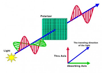 Polarizer-700