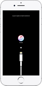 Connect iPhone to iTunes