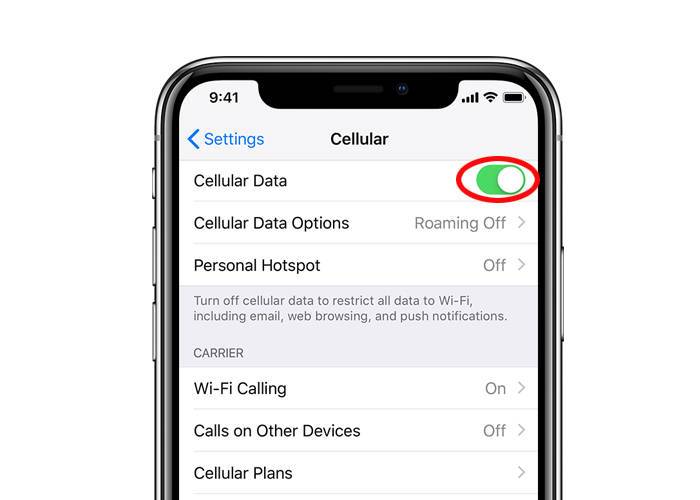 check cellular data on iPhone