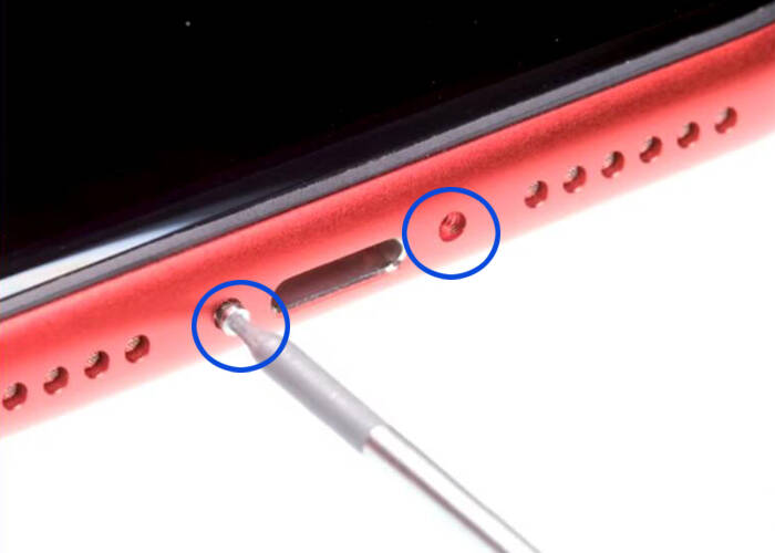 loosen the two pentalobe screws