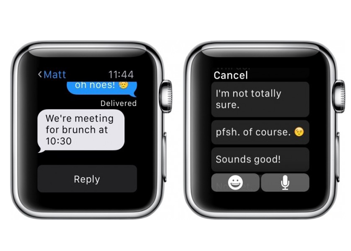 Apple Watch 5 default reply