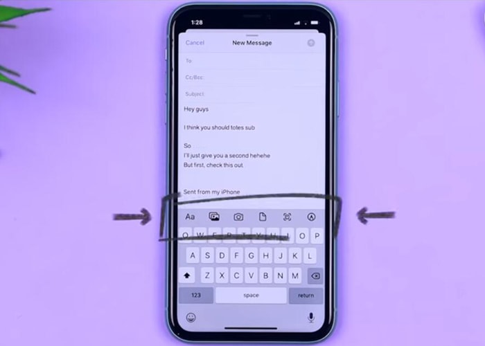 Fantastic Mail texting