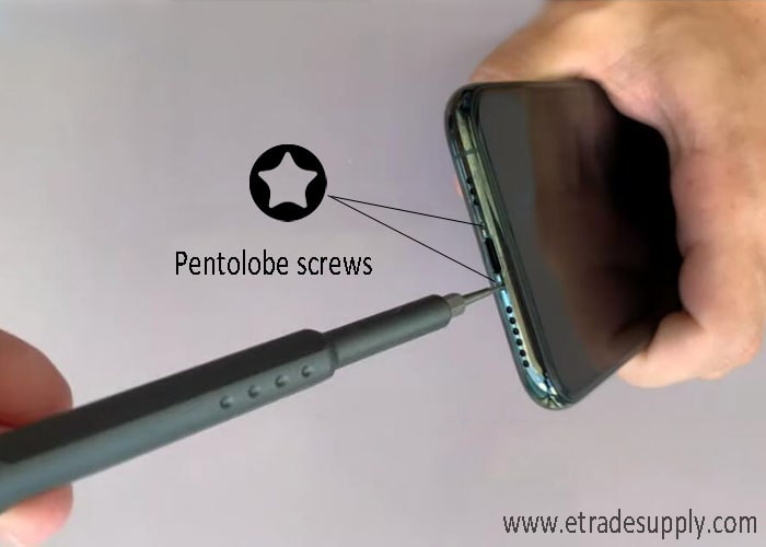 loosen the two iPhone 11 pentolobe screws