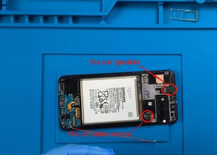 remove the vibration motor and the ear speaker
